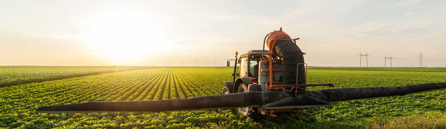בטיחות בחקלאות - איך עושים את זה נכון?